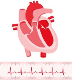 corazon-sano-2.jpg corazon-sano-2.jpg