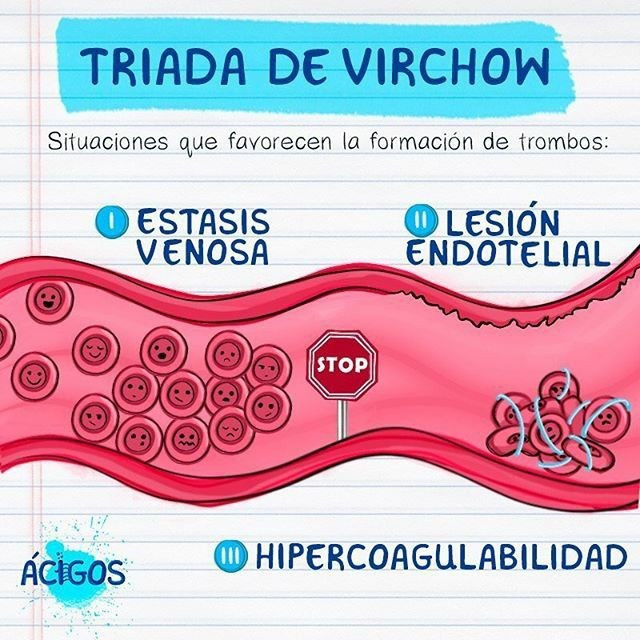 triada-virchon.jpg triada-virchon.jpg