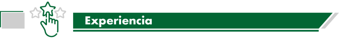Experiencia.png Experiencia.png