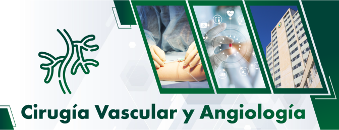 4-Cirugia-Vascular-y-Angiologia.png 4-Cirugia-Vascular-y-Angiologia.png