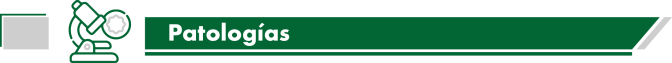 Patologias.png Patologias.png