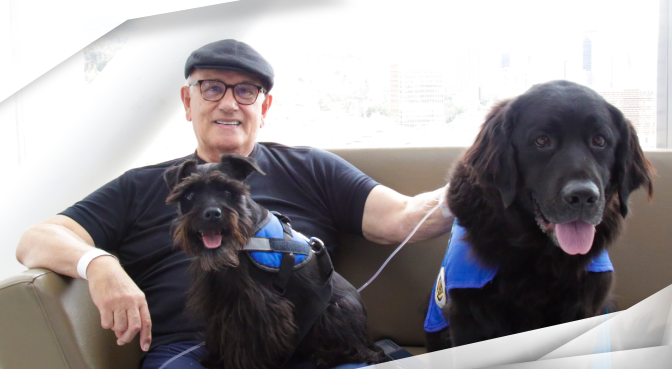 240527-BANNER-VISITA-CANINA-01.png 240527-BANNER-VISITA-CANINA-01.png