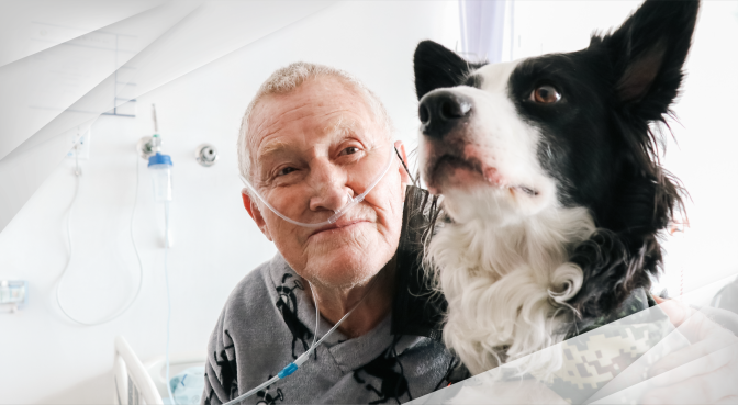 240729-BANNER-VISITA-CANINA.png 240729-BANNER-VISITA-CANINA.png