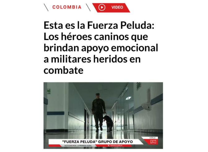 Diseo-sin-ttulo-25.png Diseo-sin-ttulo-25.png