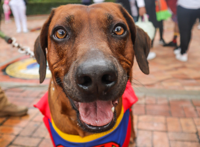 banner-22-01-1.jpg banner-22-01-1.jpg